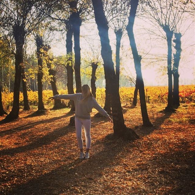 I’ll look back on this and smile because it was Life and I decided to live... (Beqaa Valley)