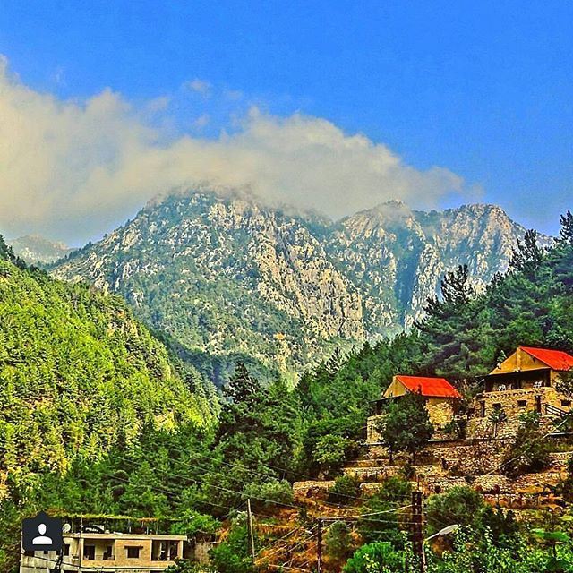 I'll take you up and down theses hills, let me show you how country feels...Jannet kartaba