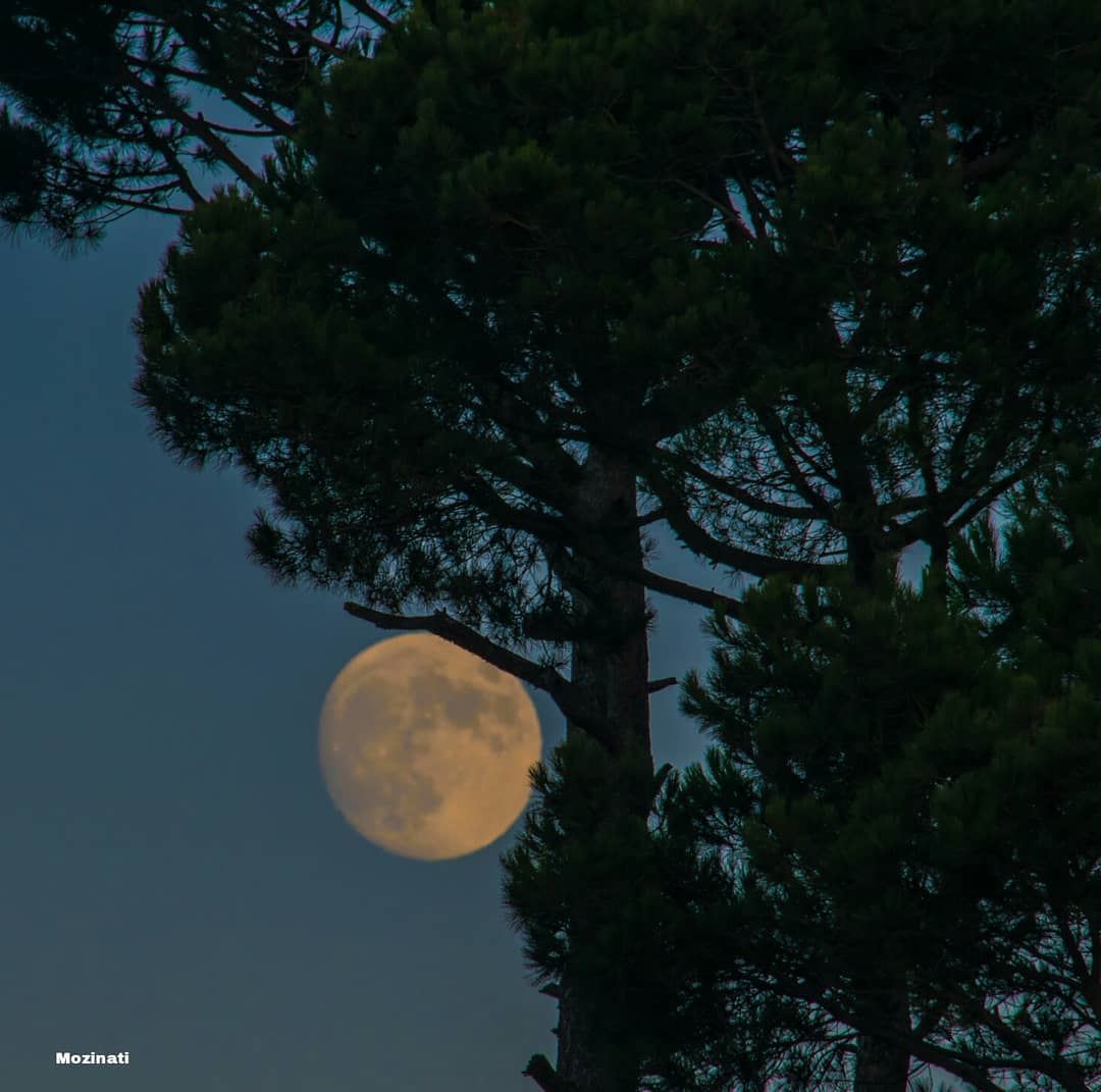 I look at the moon and it looks really beautiful!.. Then I look at you...... (Kfar Hoûné, Al Janub, Lebanon)