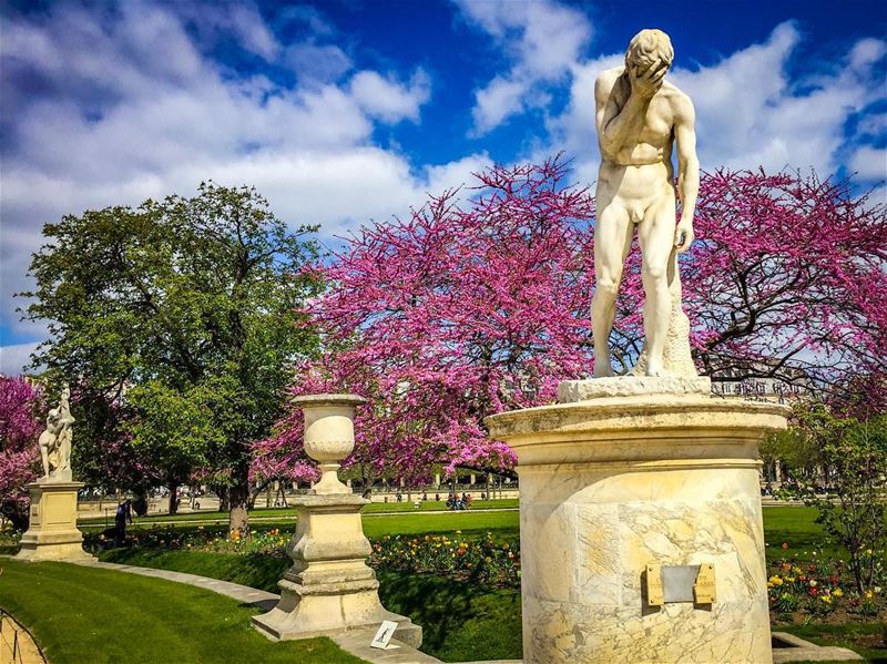 I love spring anywhere, but if I could choose I would always greet it in a... (Jardin Des Tuileries)