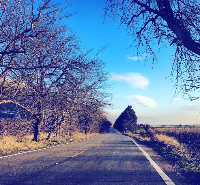 I love the smell of possibility in the morning 🌞 morning March... (West Bekaa)