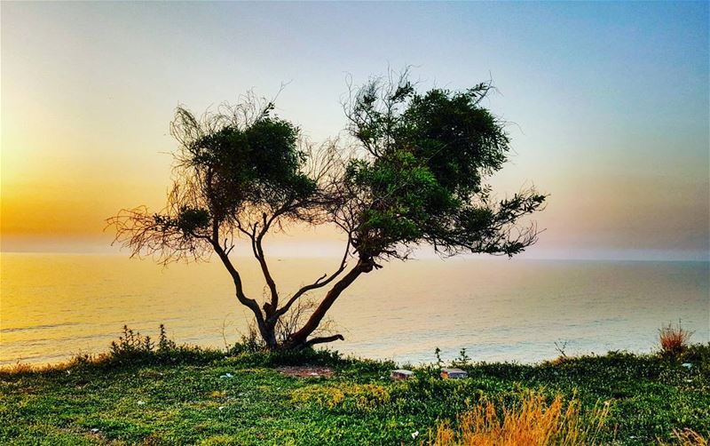 I love this peaceful and quiet place in Barbara, Lebanon....