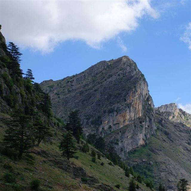 I'm a person of the mountains and the open paddocks and the big empty sky,... (Tannourine Cedars Nature Reserve)