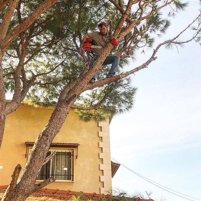 “I’m doing this for your own good” situation donttrythisathome ::::::::::: (Jamhoûr, Mont-Liban, Lebanon)