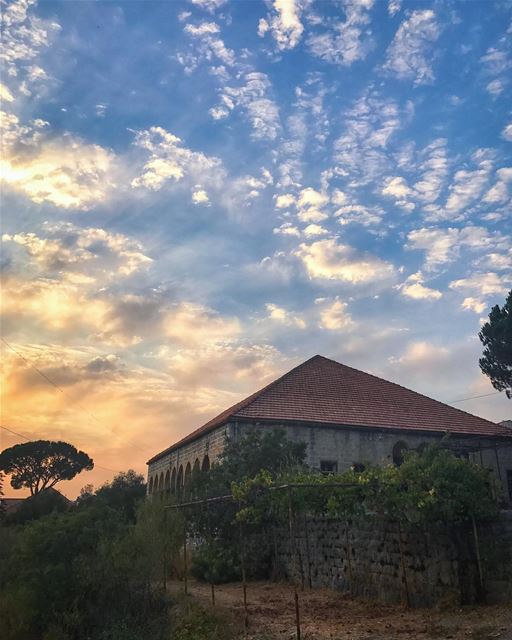 I'm learning to trust the journey even when I do not understand it - Mila... (Baabdâte, Mont-Liban, Lebanon)