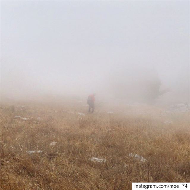 I must go in! The fog is rising. lebanon  hike  hiking  trek  trekking ... (Jabal Moussa Biosphere Reserve)