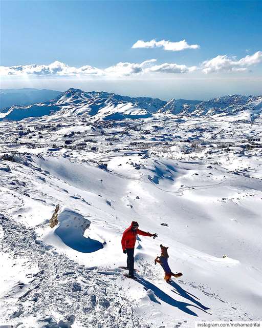 I needed a hand, I found four paws 🐾 📷 @sam_lb  hiking  outdoors  snow ... (El Laklouk, Mont-Liban, Lebanon)