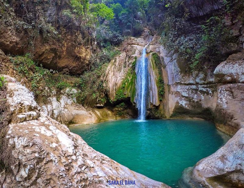 I promised you that you’ll see something as beautiful as you are 💦 (Lebanon)