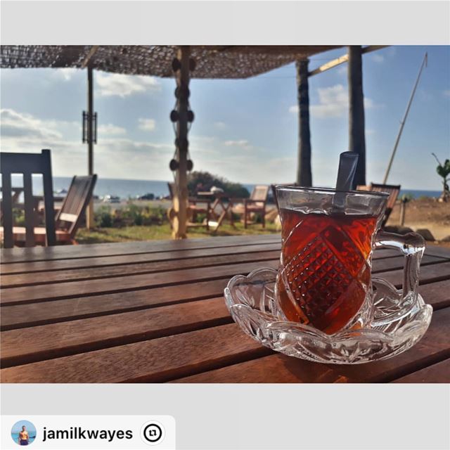I say let the world go to hell, but I should always have my tea.☕️ "... (Naqoura)