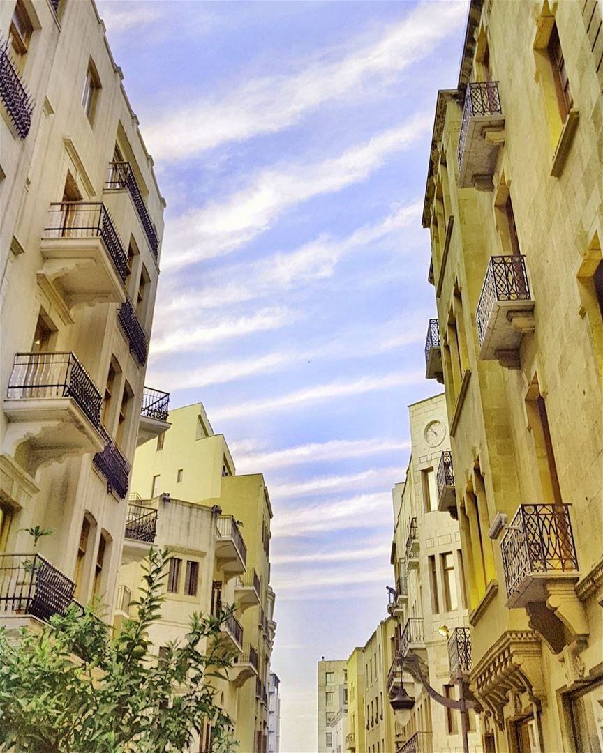 I see a Zebra in the sky 💜💜💜  sunrise... (Downtown Beirut)