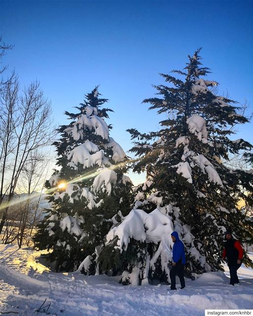 I see  beautyeverywhere  snowtime  lifehappensoutdoors  mountain  allwhite... (Laklouk Village Vacances)