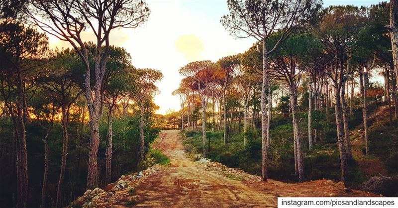 I see my path, but I don’t know where it leads. Not knowing where I’m... (Mount Lebanon Governorate)