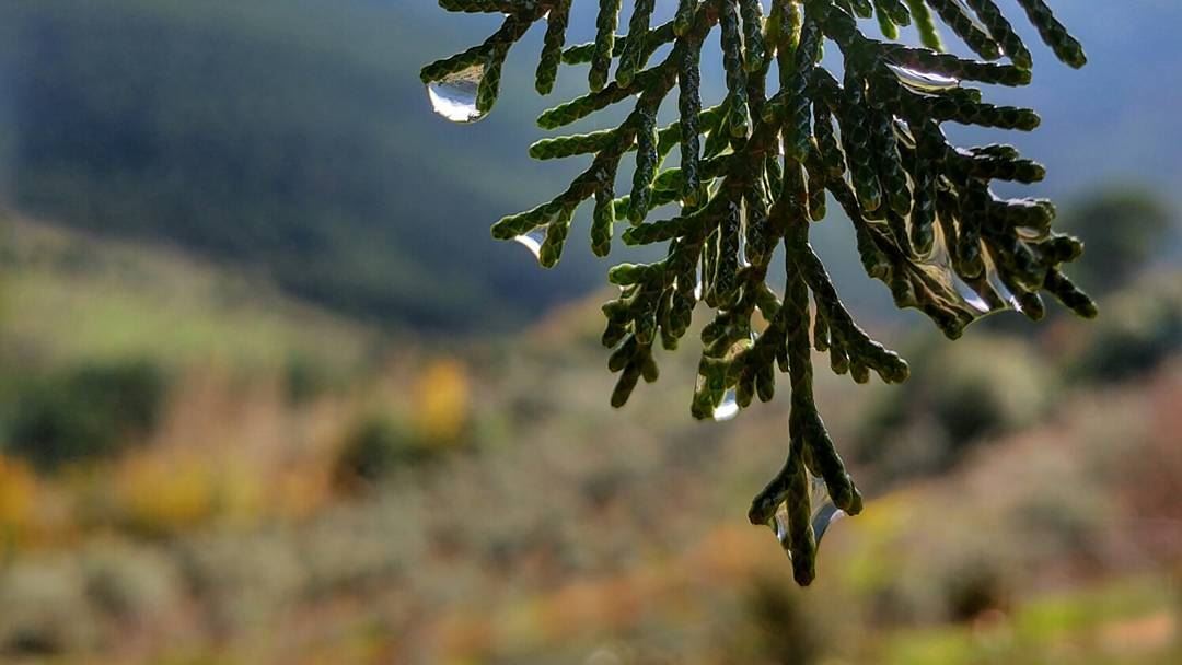 I see reflection in every drop of water 💧........... (Jezzine District)
