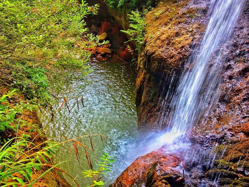 I should be assigned as minister of environment - @saadhariri @generalmiche (Baskinta, Lebanon)