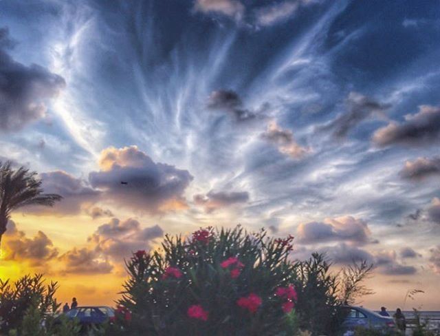 I slept and dreamt that life was joy. I awoke and saw that life was... (Beirut, Lebanon)