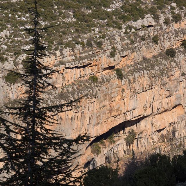 I swear to you, there are divine things more beautiful than words can... (Tannurin At Tahta, Liban-Nord, Lebanon)