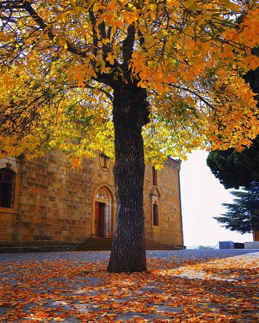 I ❤ this season  lebanon  nature  naturelovers  natureporn  landscape ... (Saydet al - shir)