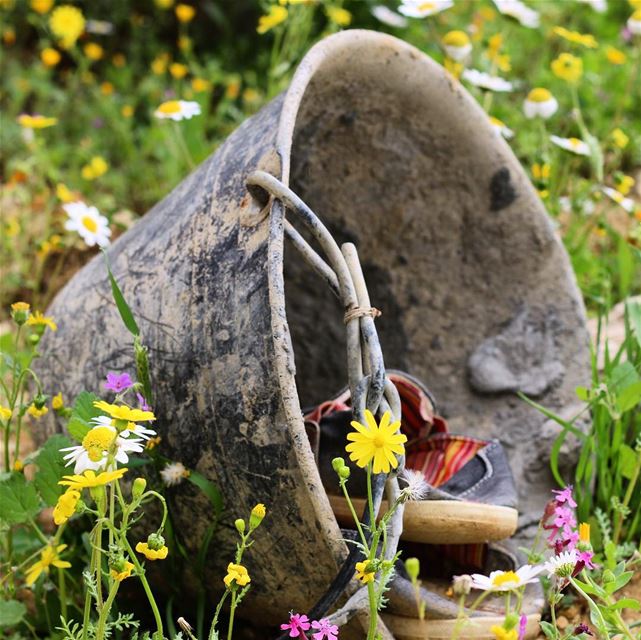 I thought that life is not fair, until I came across shoes for those whose... (Batloun, Mont-Liban, Lebanon)