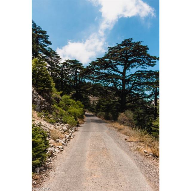 I took a break from instagram because i wasn't free to hike and shootsh...