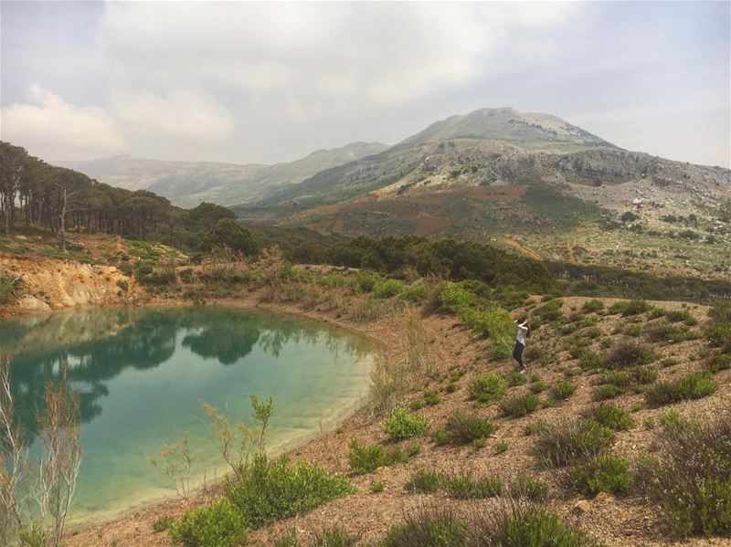 I've been living so long in a habitatWhere the land's mighty rocky but... (Qarnayel)
