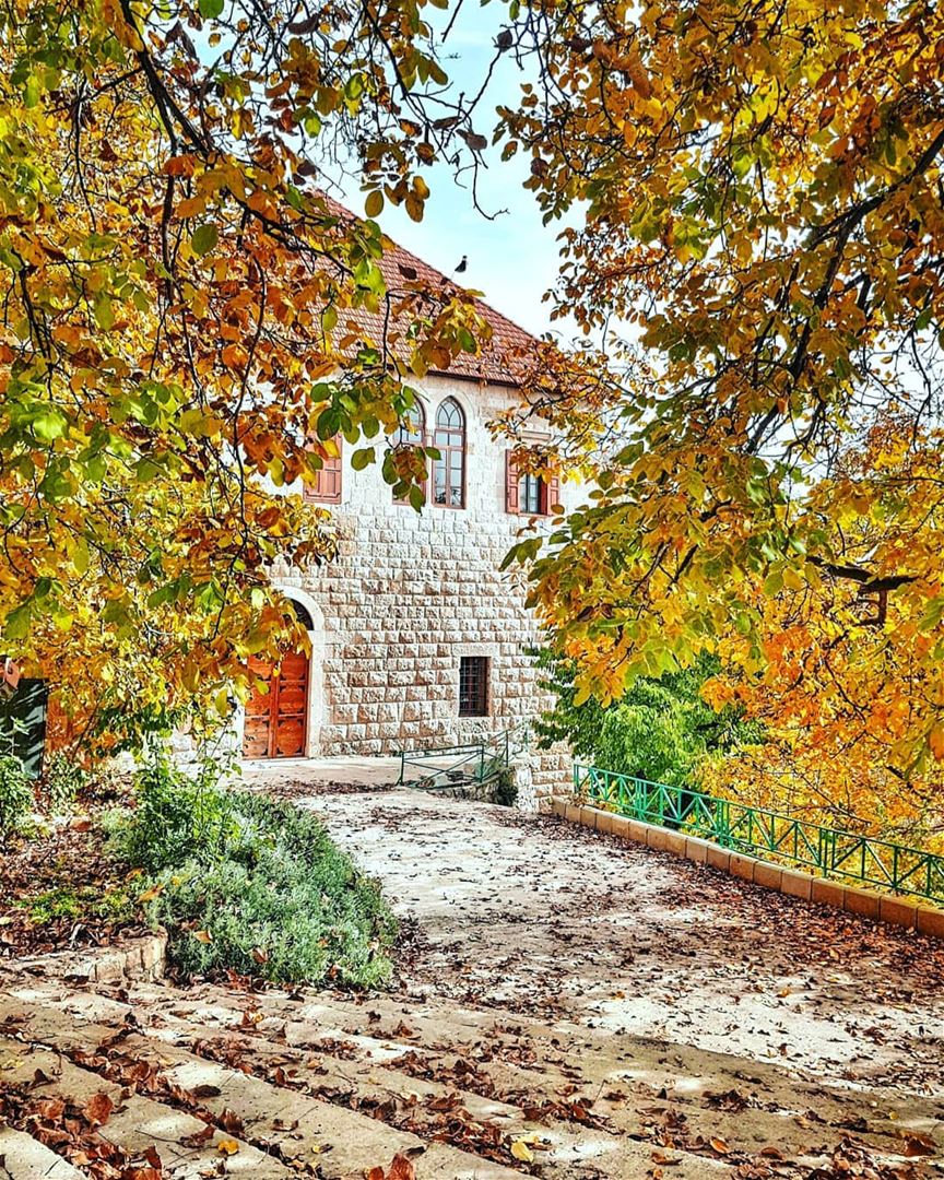 I've been so excited to post this photo, as it was taken in Ehden, one of... (Ehden, Lebanon)