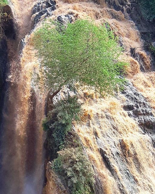 "I've lost controlI paddle, but you're too strongBut I gotta trust your... (Ouyoun El Samak Waterfalls)