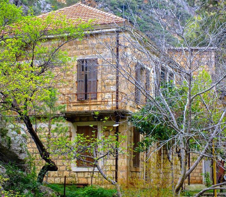 I want to grow old in an old house built in an old forest around old... (Hamatoura Carpentry)