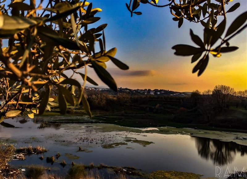 I was quiet... but I was not blind.______________________________... (Bechmezzîne, Liban-Nord, Lebanon)