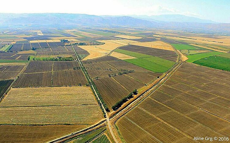 I wish we have paragliding over the Bekaa...so everyone can see this... (West Bekaa)