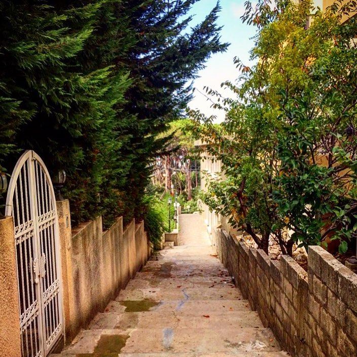 I wish we start a fresh  weekend 🌳 village  trees  lebanon  mylebanon ... (Bzoummâr, Mont-Liban, Lebanon)