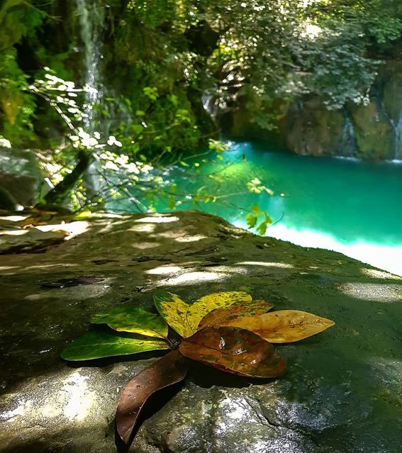 I woke up today with one thought on my mind, with one word in my head: C H... (Baakline, Mont-Liban, Lebanon)