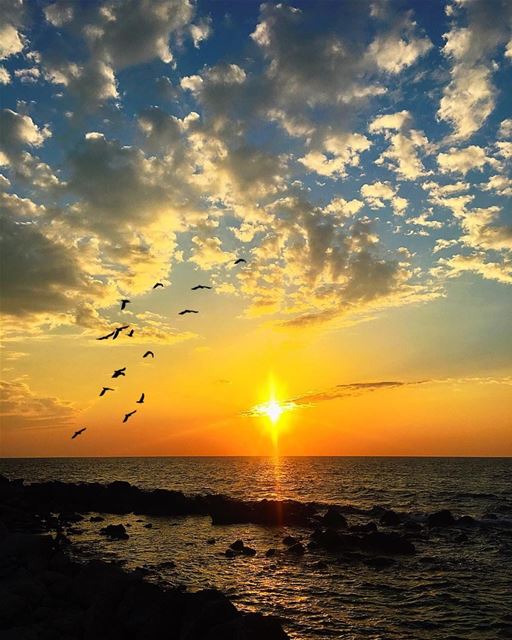 " I Wonder Sometimes Where All That Love You Had For Me Went? Did It Walk... (Batroûn)
