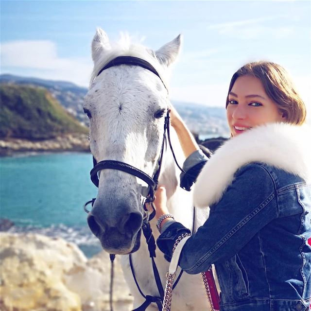 I would travel only by horse, if I had a choice! In love with this noble... (Jbeil جبيل)