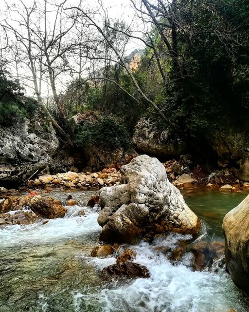  ibrahimriver  tb  sundayfunday  livelovelebanon❤️  livelovelebanon🇱🇧❤️ ... (Yahchouch)