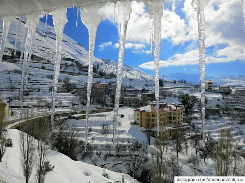  ice  morning  ehden  lebanon  snow  fresh ... (Ehden, Lebanon)