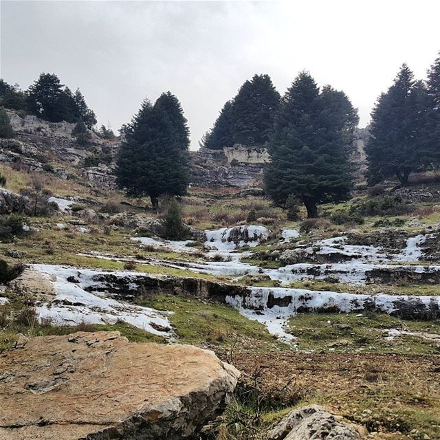  iceicebaby  winterishere  cedars  lebanon  ammou3a  rocks  ice ...