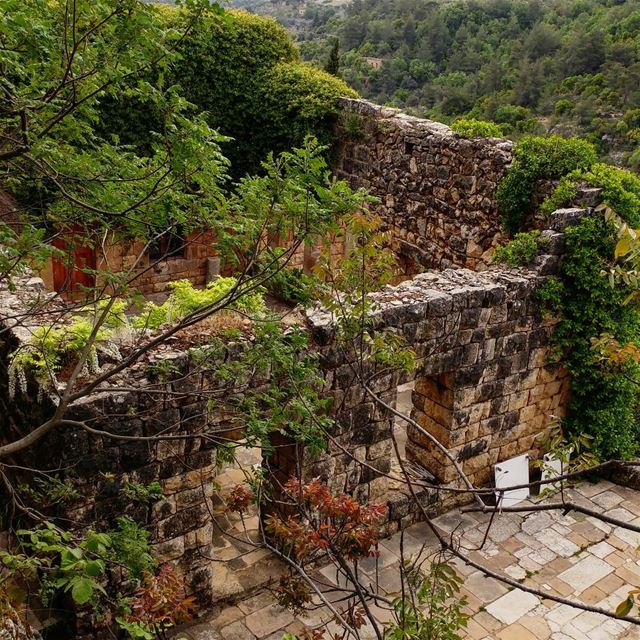 Idiots (in my book) are people who tear down old stone structures and... (Chouf)
