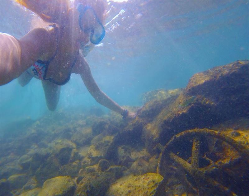 If I could live here under the sea 🐳🦑🐠🦑🐟 (Thoum/batroun-Lebanon)