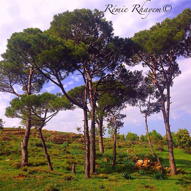 ~If i had a world of my own....💭~ (Bkâssîne, Al Janub, Lebanon)