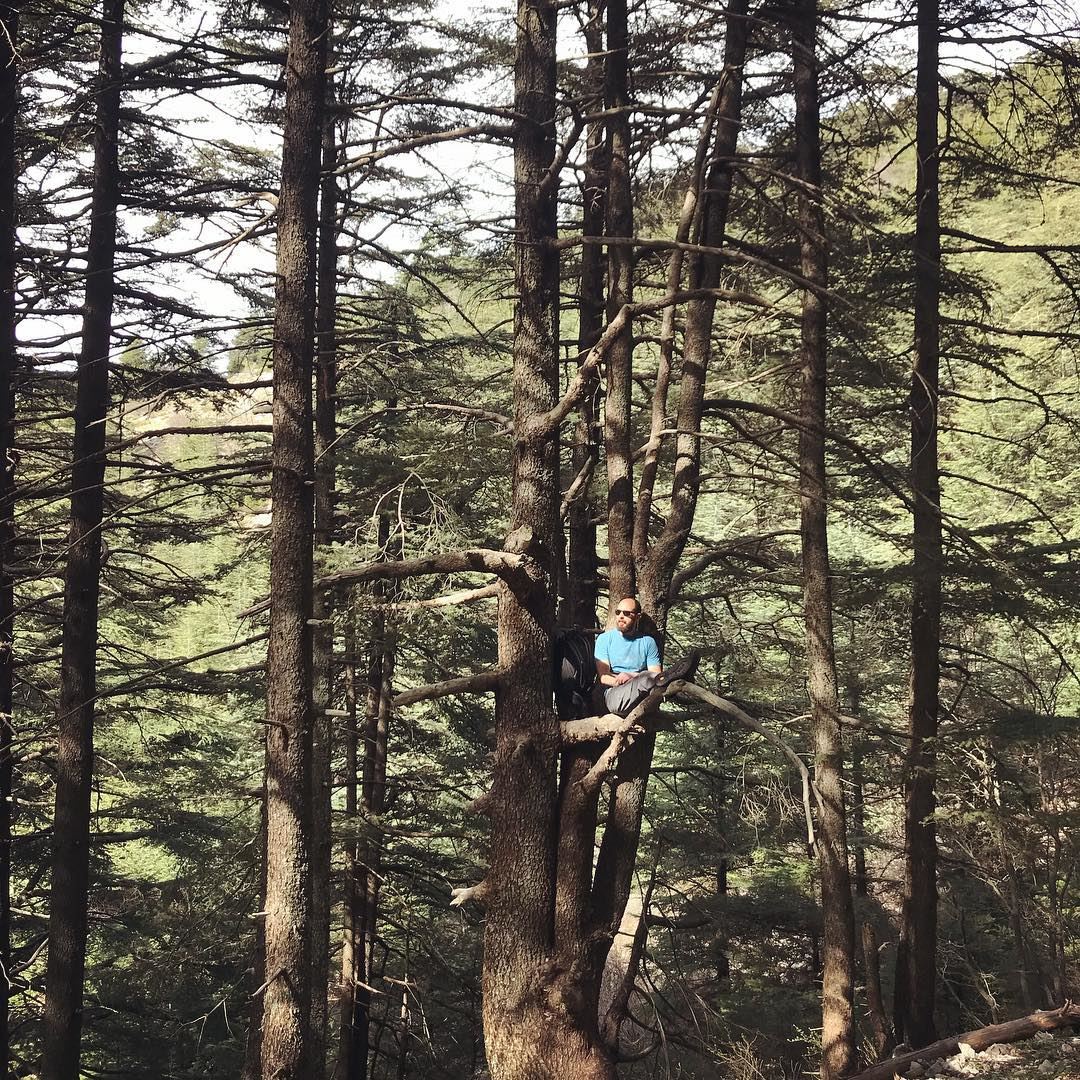 If it fits, I sits! 😎.... hiking  hikingadventures  lebanon ... (Al Shouf Cedar Nature Reserve)