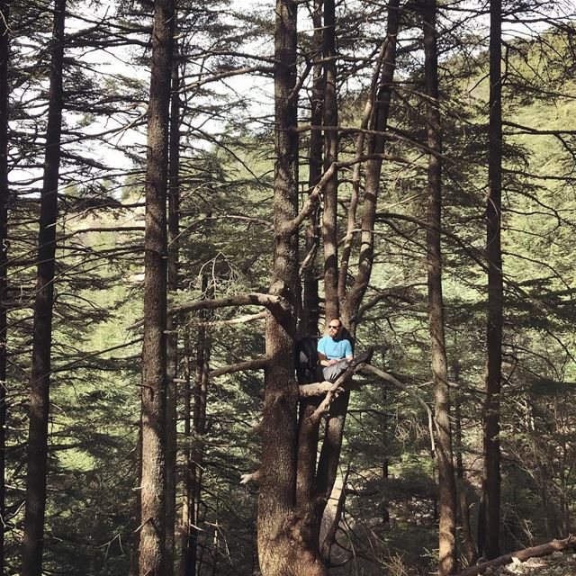 If it fits, I sits! 😎.... hiking  hikingadventures  lebanon ... (Al Shouf Cedar Nature Reserve)