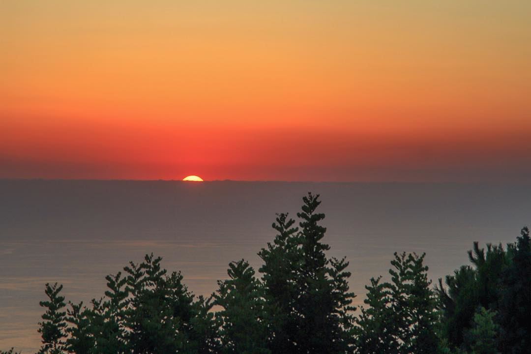 If only I was a bit earlier 🙄  ocean  sea  sunset  tree  sun  beirut ...