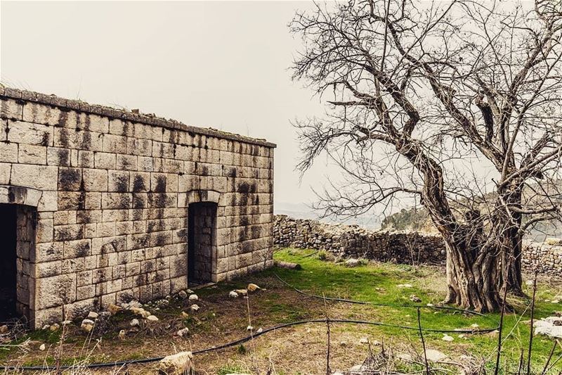 If only old buildings can talk travelbloggers  discoverearth  ... (Ehmej, Mont-Liban, Lebanon)