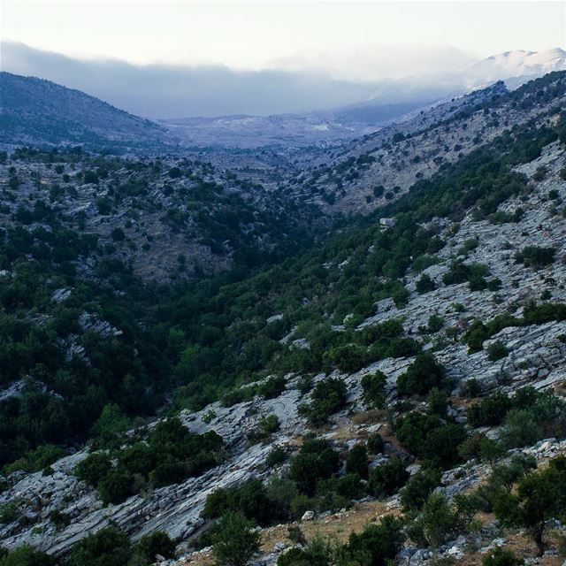 If someone in your life talked to you the way you talk to yourself, you... (Mlîkh, Al Janub, Lebanon)