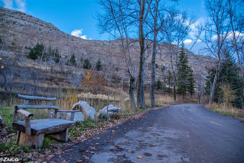 If that wooden bench could talk, what story do you think it'll tell u?... (El Laqloûq, Mont-Liban, Lebanon)