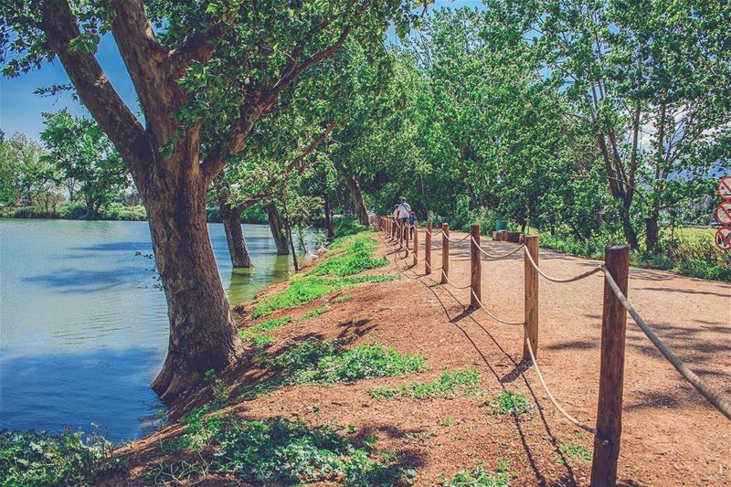 'if the path before u is clear; u are probably on someone else’s...' (Lebanon)