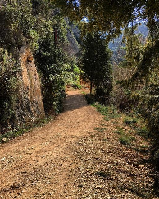 If the path is beautiful... let us not ask where it leads 🏞  path  hike ... (Koûsba, Liban-Nord, Lebanon)