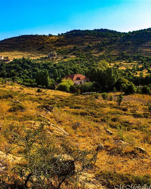 If the single man plant himself indomitably on his instincts, and there... (`Aramtá, Al Janub, Lebanon)