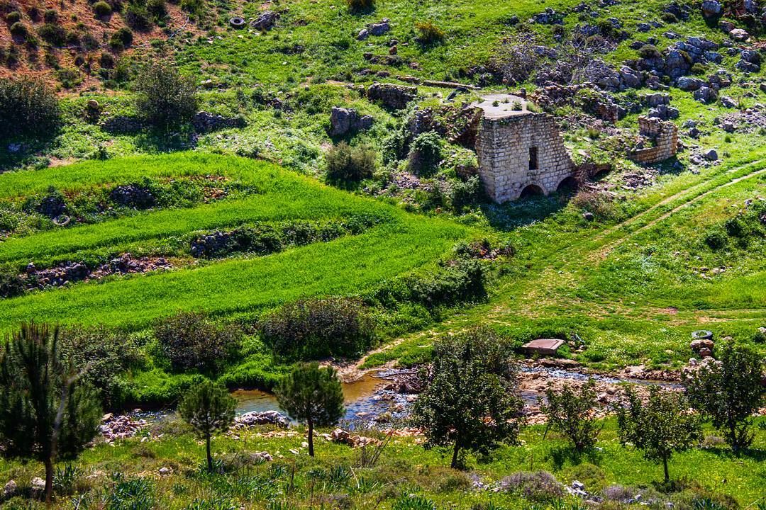 If there is something for you to do, Do it now and right away, Never put... (Arabsalim, Lebanon)
