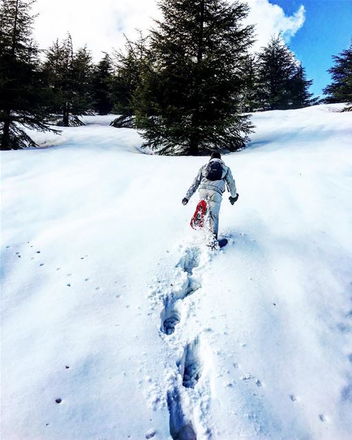 If There isn't a way, Make Your Own one, to the top🔝🏔❄️ tb crazy day... (Bâroûk, Mont-Liban, Lebanon)